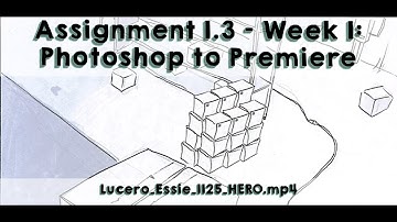 🎬 Assignment 1.3 – Week 1: Photoshop to Premiere | ANI 110-O