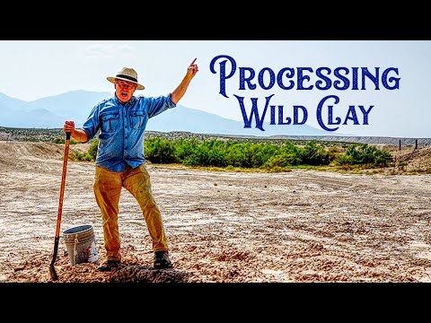 Harvesting & Processing