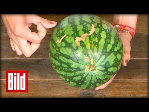 Video: Warum ist meine Wassermelone hohl - Erfahren Sie mehr über das hohle Herz in Wassermelonen