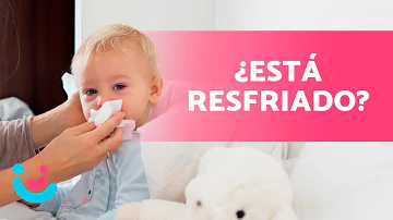 ¿Cuáles son los síntomas del resfriado en los bebés?