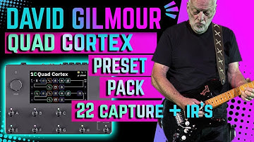 David Gilmour | Quad Cortex Preset Pack + Capture : Tube Driver - Hiwatt - Big Muff - Pete Cornish