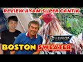 Ayam bisa berubah warna  ayam ini bisa   review ayam jenis boston sweater dari martin escolin 