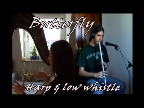 The Butterfly - Harp & low whistle (with Ulli)