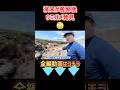 濱口優が産卵後のウミガメを発見🐢💡 #濱口優 #濱口優と秘密基地 #よゐこ