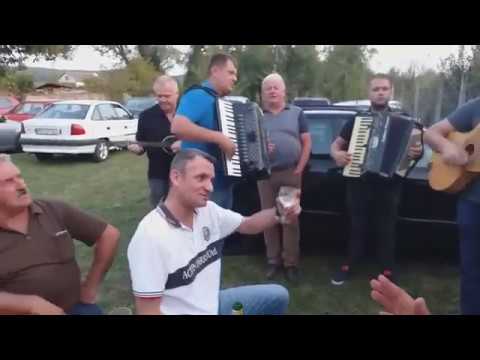 Što te sokol