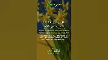 تلاوة هادئة من [ سورة المائدة: ١٦ - ٢٠] القارئ عمير الشميم