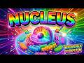 Nucleus Explained | Class 9 Biology | Structure &amp; Functions of Nucleus | PCTB 2026