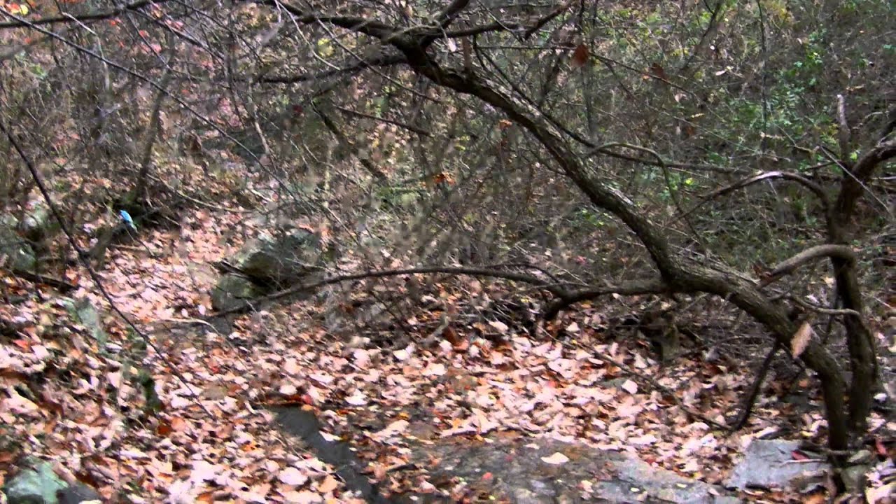 Myheroscape20's most important video ever.....