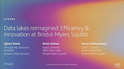 AWS re:Invent 2019: Data lakes reimagined: Efficiency & innovation at Bristol-Myers Squibb (LFS204)