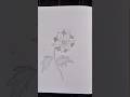 #SketchNova #BeginnerArtist #LearningToDraw #SimpleDrawing #Sketch #DrawingPractice #ArtJourney