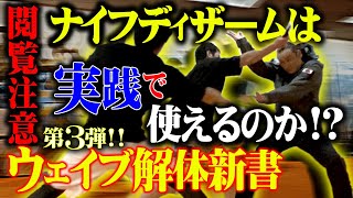 【閲覧注意】実践ナイフディザーム！！