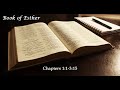 The Book of Esther (1 of 3) NLT read by Tom Dooley