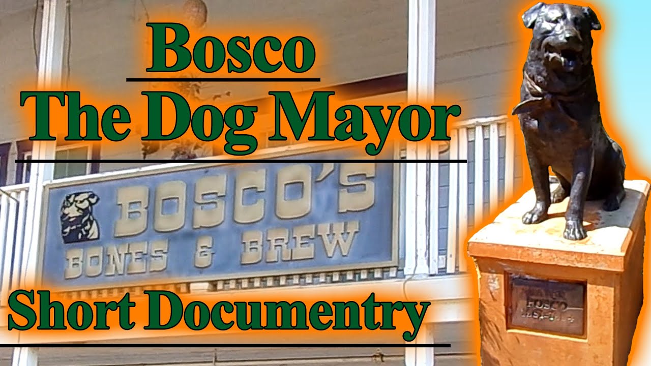 Bosco