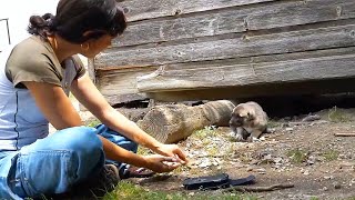 Maya plays with a shy little puppy at the farm