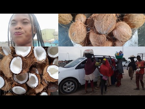 How To Get The Best COCONUT For Business In Nigeria