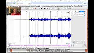 Setting and Correcting Note Onsets in Sonic Visualiser