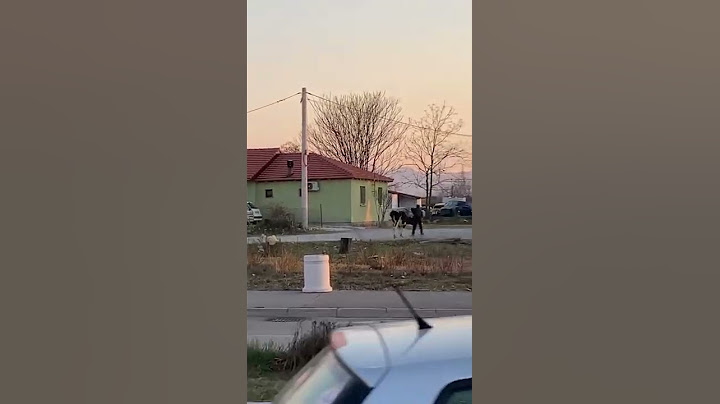 Mučenje krave u podgoričkom naselju Tuški put, 20.03.2022.