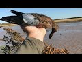 2021 Texas early Blue Wing Teal season day 2