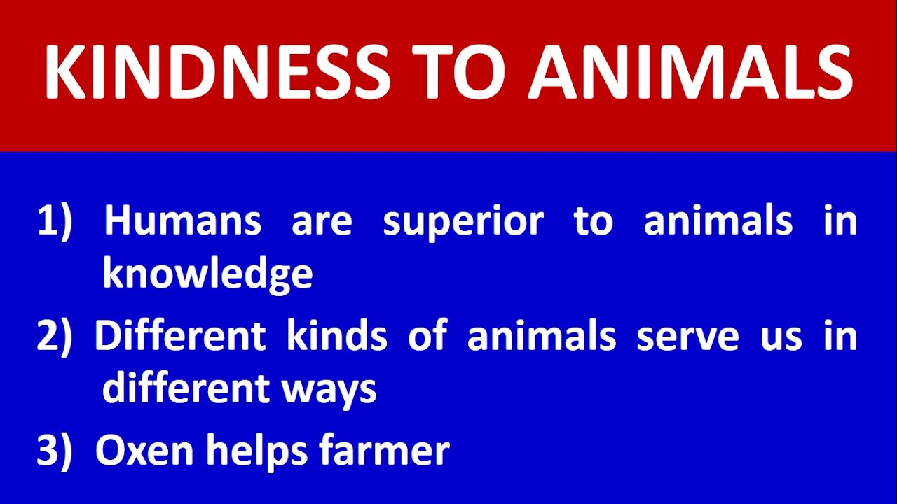 kindness to animals essay