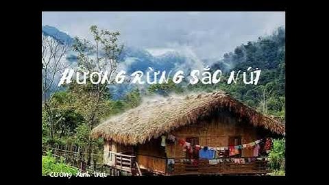 HƯƠNG RỪNG SẮC NÚI