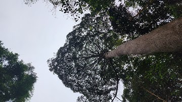 LAB 3 ASSIGNMENT 2 BIC 20803 OPERATING SYSTEM