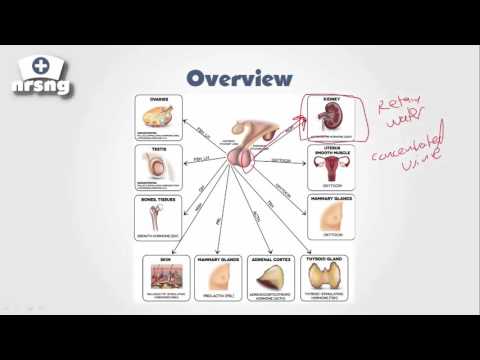 siadh-nclex®-review-|-nrsngacademy.com