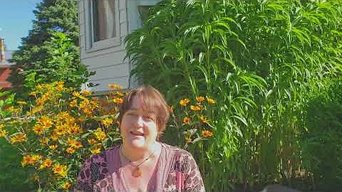 Water Your Garden: Praying with Teresa of Avila