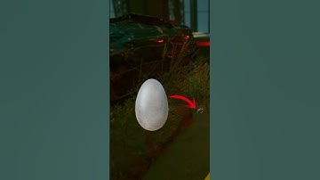 2 RARE Cyberpunk 2077 Pets For Your Apartment! #shorts