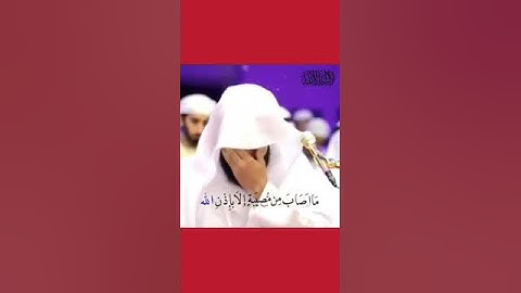 ما أصاب من مصيبة إلا بإذن الله 🌱 الشيخ رعد الكردي 🧡 سورة التغابن 💙