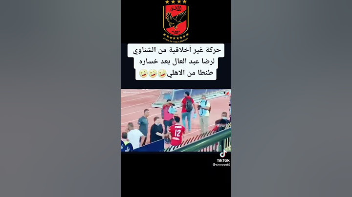 رضا عبدالعال و الشناوى
