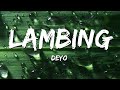 Ref:UzrNvhlr-MI Deyo - lambing (lyrics)