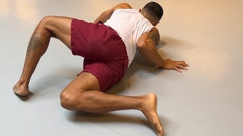 Lizard crawling movement - Closed System Flow