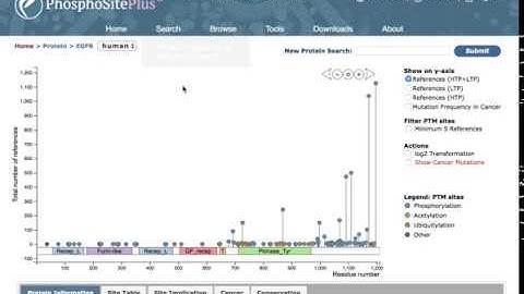 PhosphoSitePlus: How to use the lollipop plot