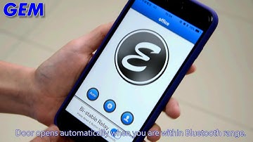 E1196+PSM 29T Door Access Control Kits