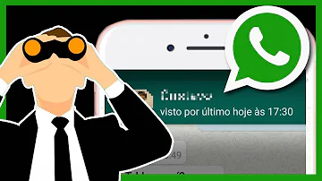 Como faz para tirar o visto do WhatsApp?