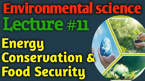 Environmental Science | Lecture #11 - Energy Conservation and Food Security for CSS UPSC PMS