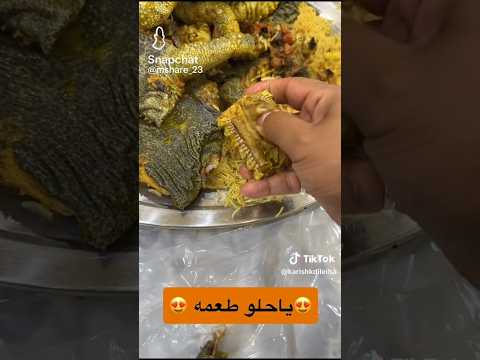 افتراس كبسة الضب السعودي 