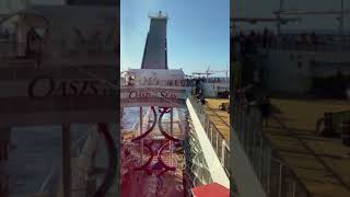 #Shorts Royal Caribbean Amplified Oasis Of The Seas Zip Line On A Cruise Ship #ShortsRCL #Shorts Royal Caribbean Amplified Oasis Of The Seas Zip Line On A Cruise Ship #ShortsRCL