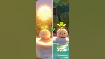 "How Do Plants Grow? 🌱 Fun and Easy Science for Kids!"#funlearning