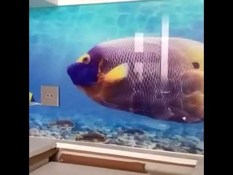 ს კ ი ნ ა ლ ი - ნაწრთობი მინის სამზარეულოს წინსაფარი