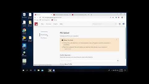 Lily   Data In   Granular Insights