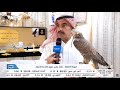 مهنة الصقارة تراث عربي عريق تعتز به الأجيال