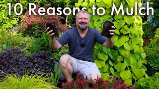 10 Benefits of Mulch