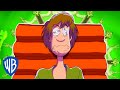 Scooby-Doo! | Shaggy