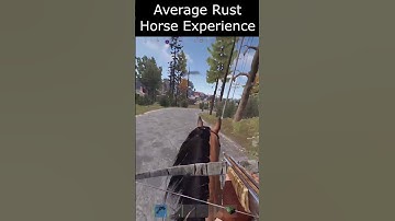 Average Rust Horse Experience