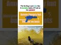 It’s a pocket Commando with nearly the exact same damage profile - Helldivers 2