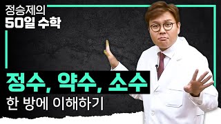 수학 기초 1도 모르는 자들이여, 두려워 말라! 생선님이 친절하게 알려주는 ‘수의 개념’ I 수학 기초 개념 I #정승제의50일수학