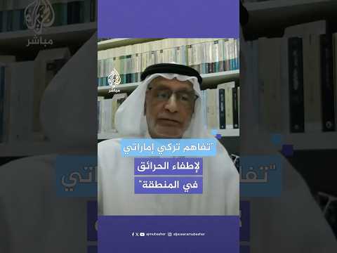 د عبد الخالق عبد الله هناك تفاهمات ضخمة بين أبو ظبي وأنقرة لإطفاء الحرائق في المنطقة