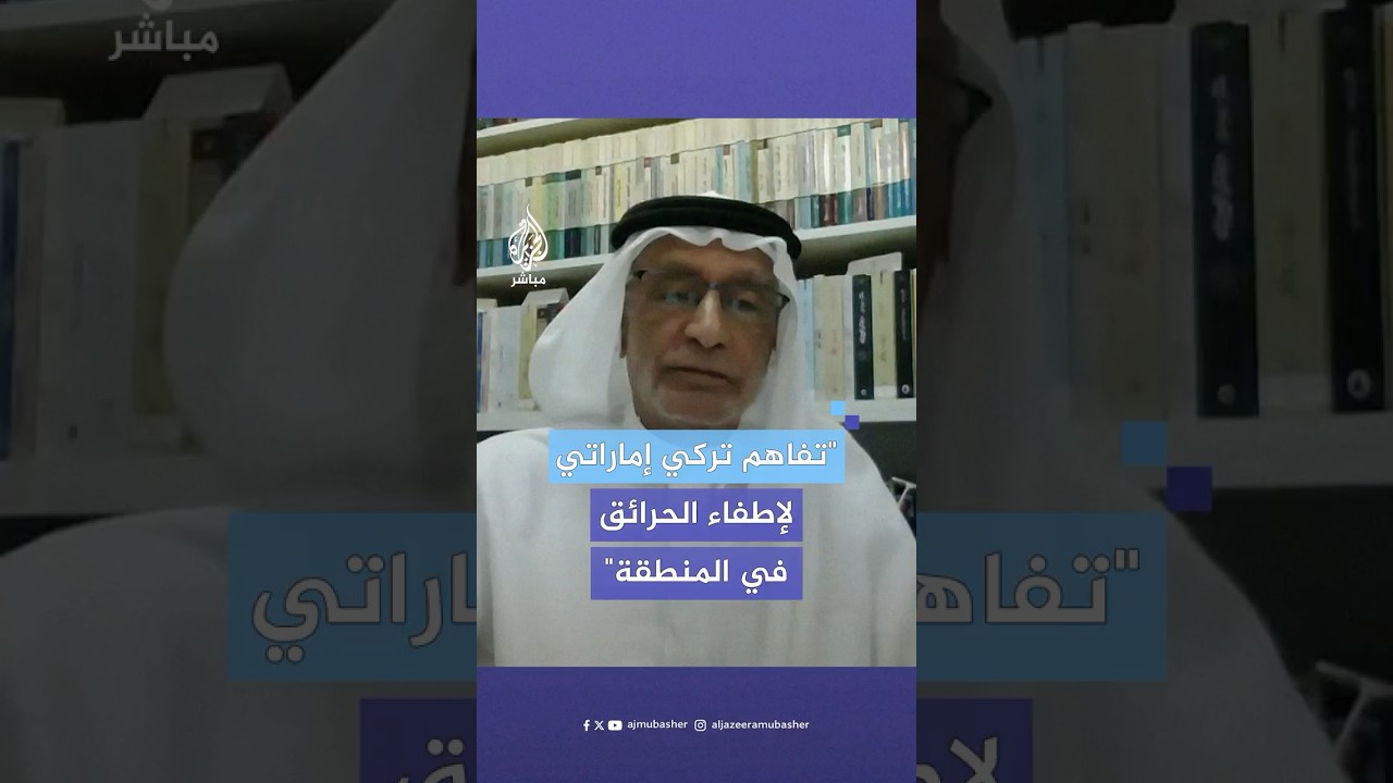 د. عبد الخالق عبد الله: هناك تفاهمات ضخمة بين أبو ظبي وأنقرة لإطفاء الحرائق في المنطقة