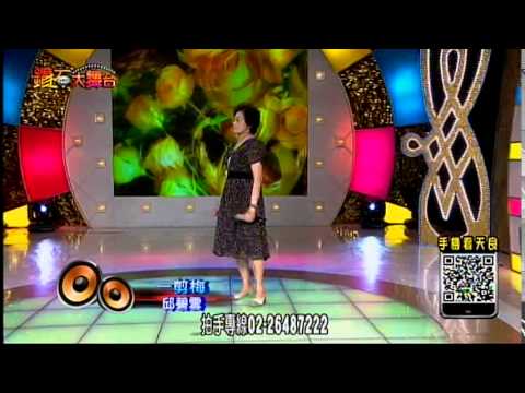 天良電視台104 06 14周邱碧雲/一剪梅